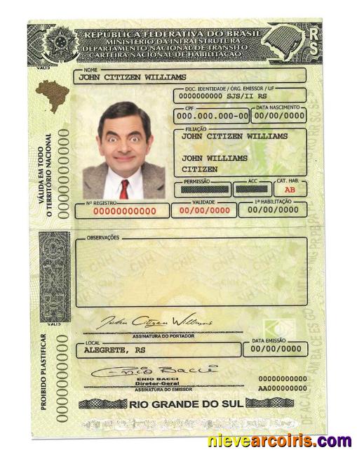 Brazil(RioGrandedoSul)driving license